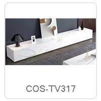 COS-TV317